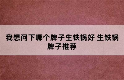 我想问下哪个牌子生铁锅好 生铁锅牌子推荐